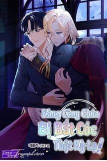 Nàng Công Chúa Bị Bắt Cóc Thật Kỳ Lạ!