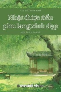Nhặt Được Tiểu Phu Lang Xinh Đẹp